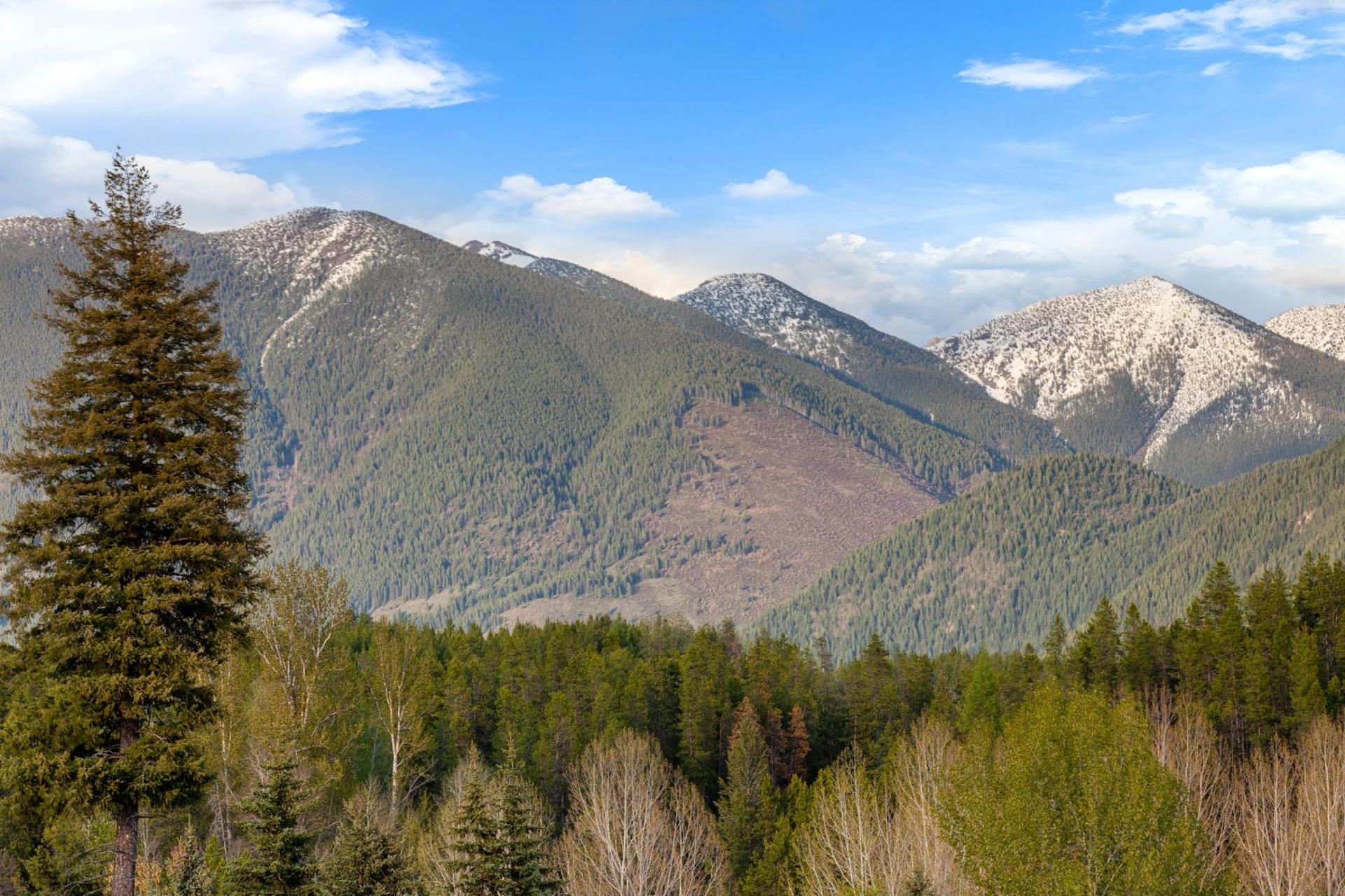 Sky Eco - Cabins & Studios