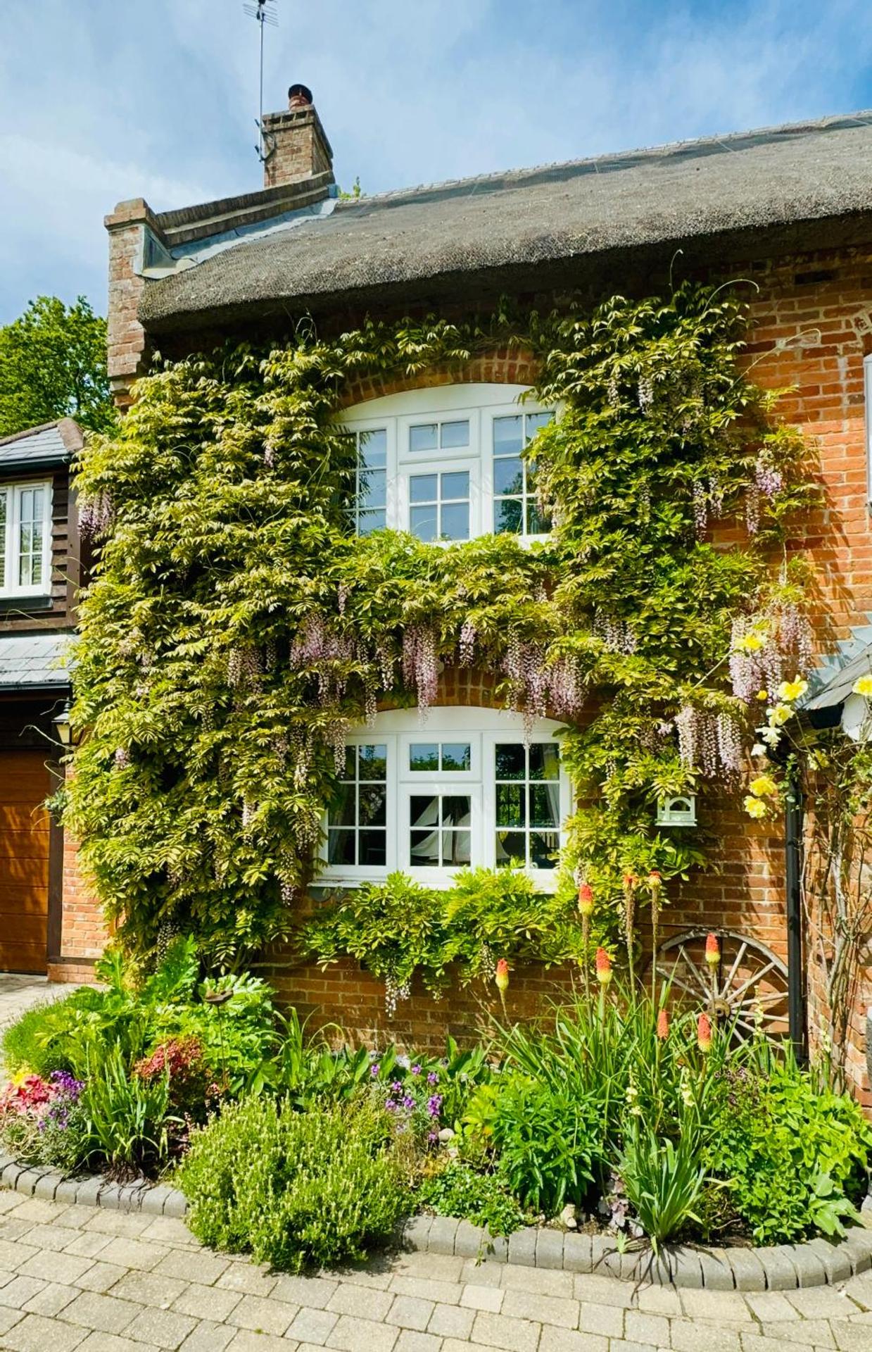 Little Woodside a beautiful New Forest self contained private luxury annexe