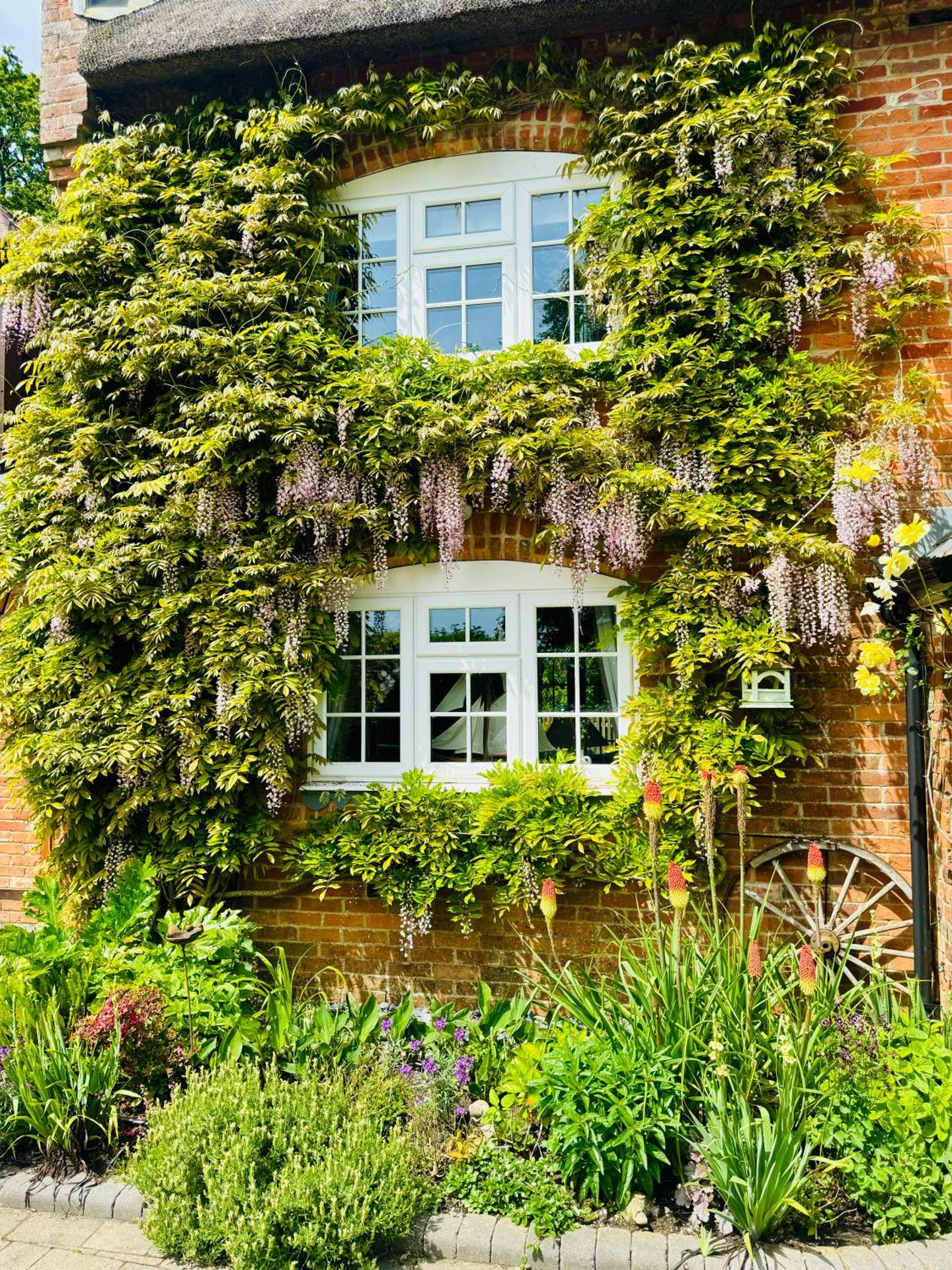 Little Woodside a beautiful New Forest self contained private luxury annexe