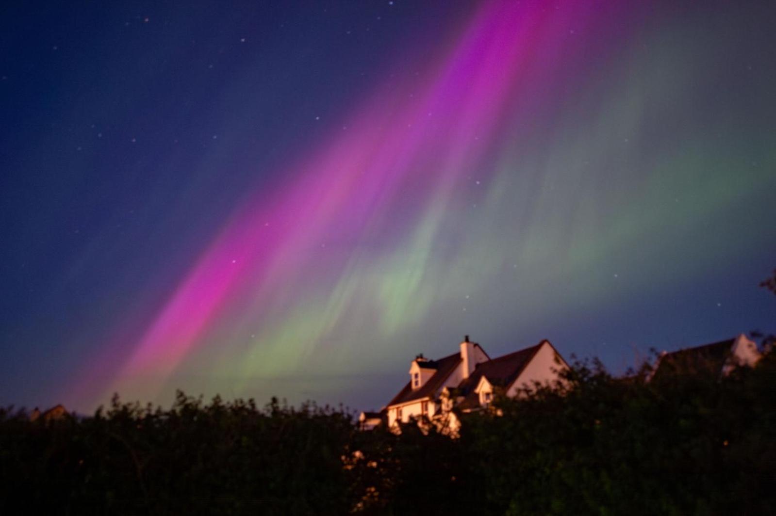 Stable View, Clara Meadows Dunfanghy