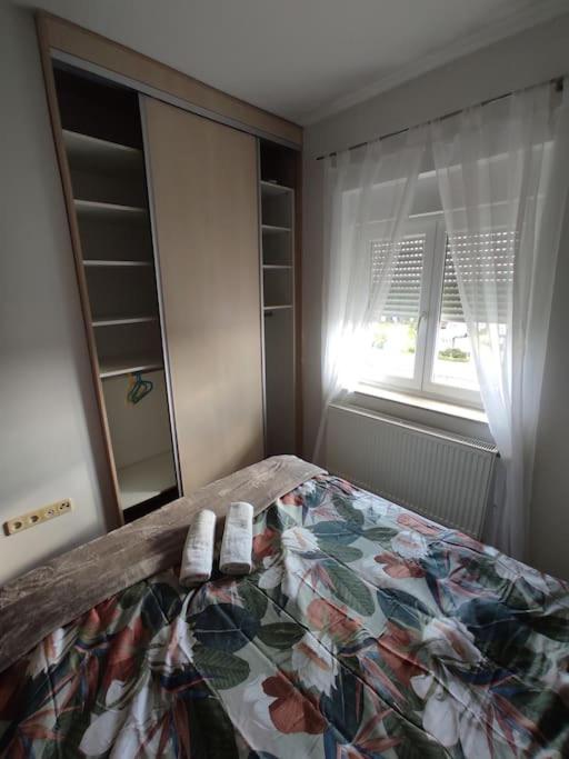 Anthurium - SelfCheckIn - Nomad