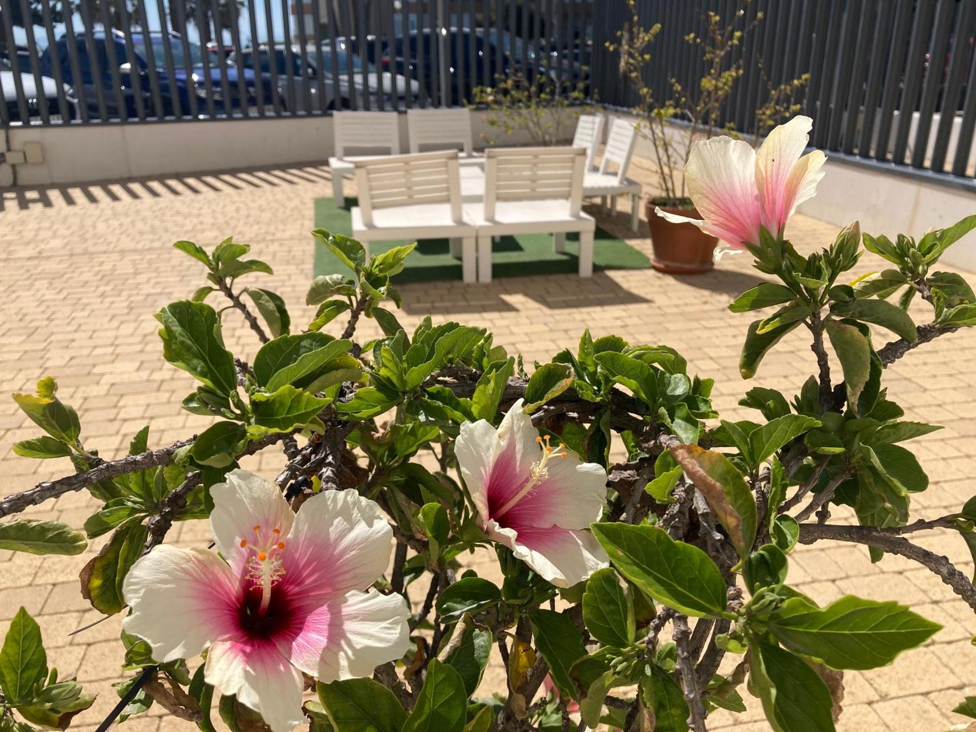 ALOJAMIENTO TORROX PLAYA Centro de Ocio y Tiempo Libre