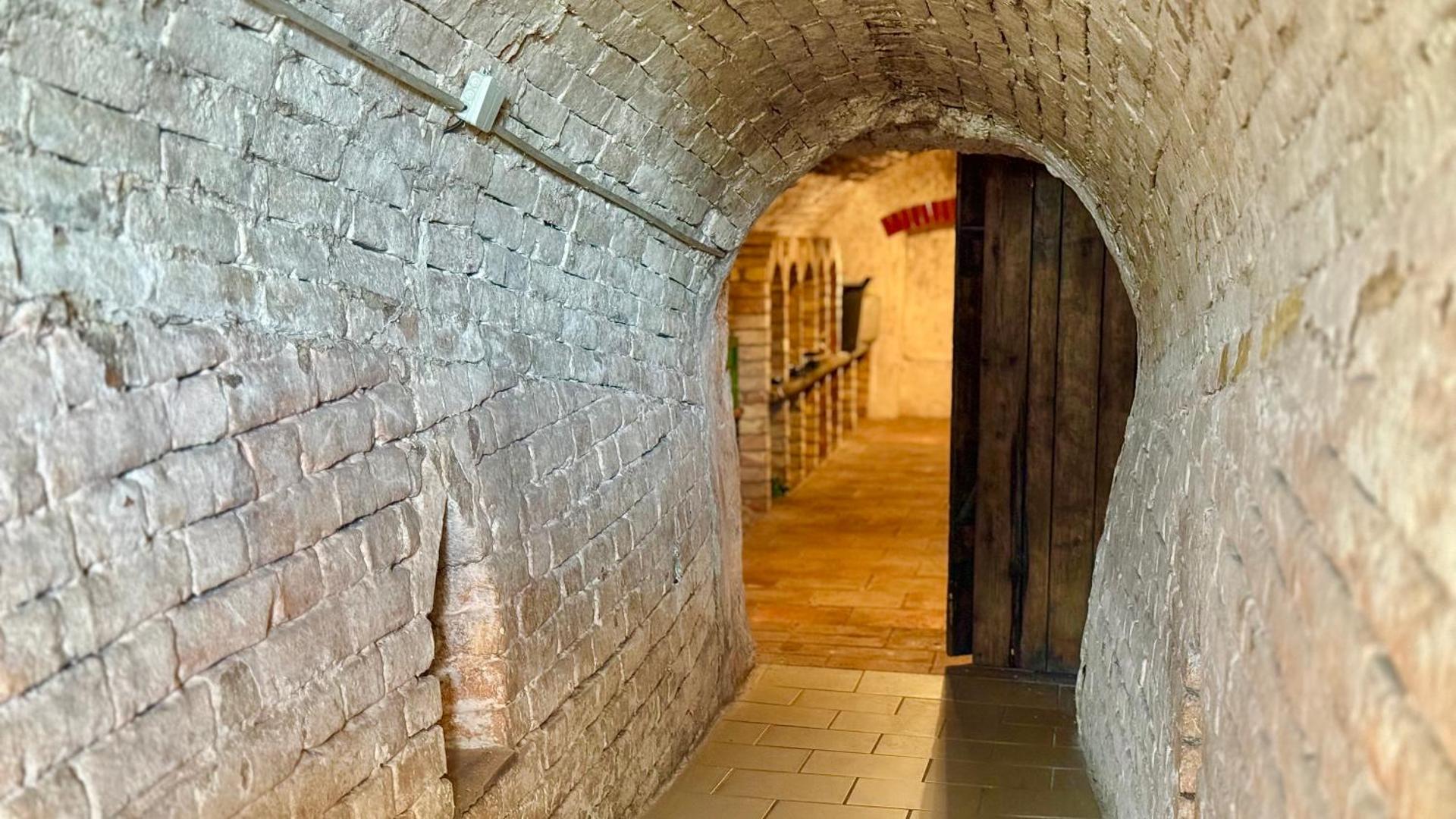 Vinný sklep Monty Přítluky