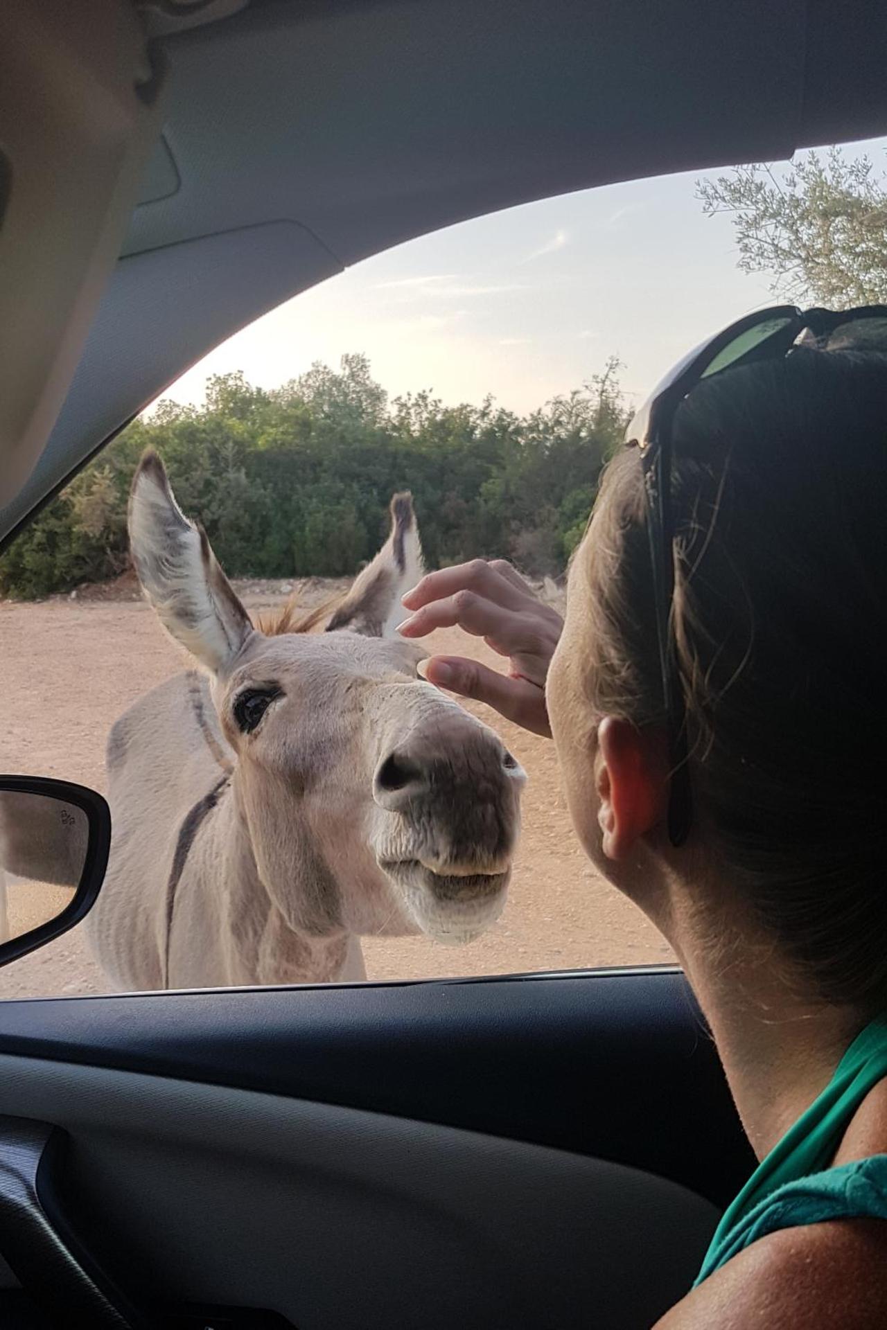 Dommu de Nannai Moro: Camera con bagno e balcone