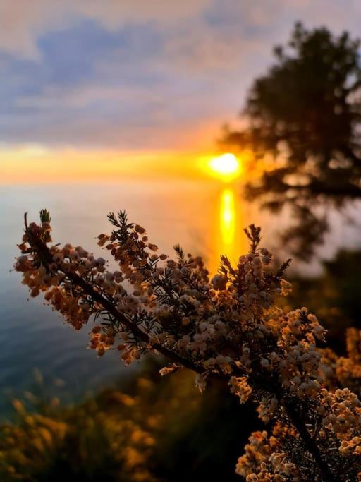 Il sogno del capitano