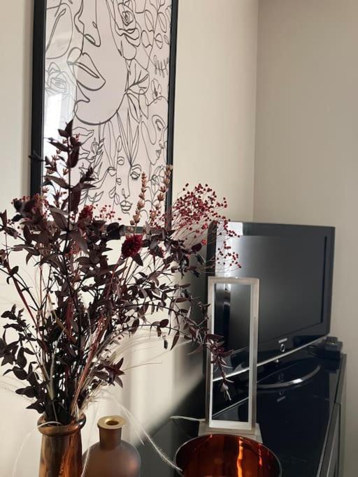 Appartement cosy tout équipé et parking couvert privé aux portes de Flers