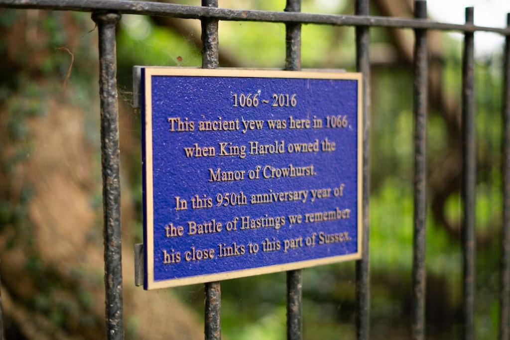 Luxury Studio Nestled in the Sussex Countryside