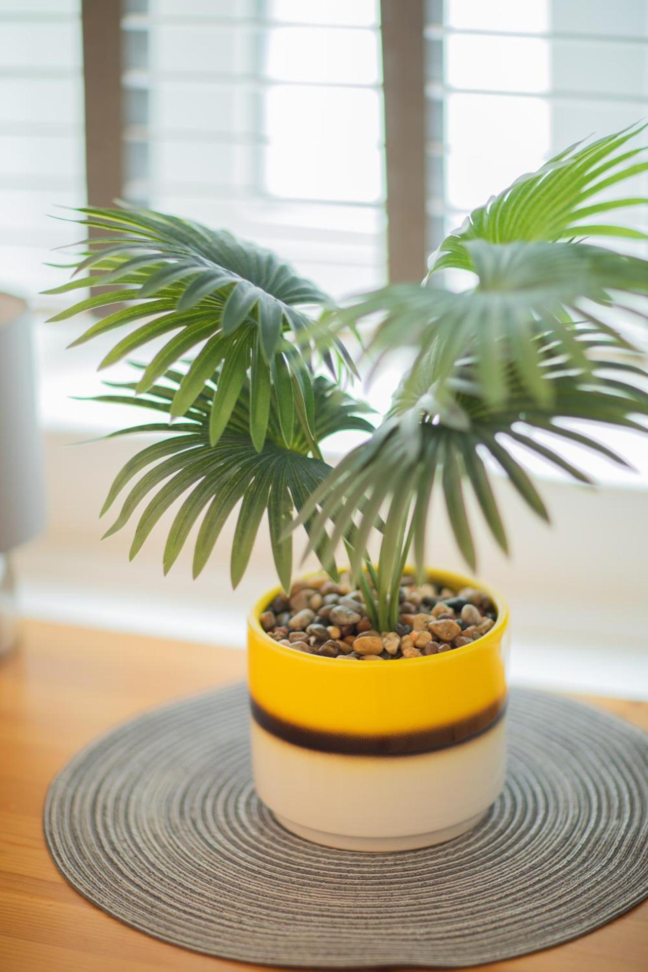 One bedroom at Chelsea cloister Hotel