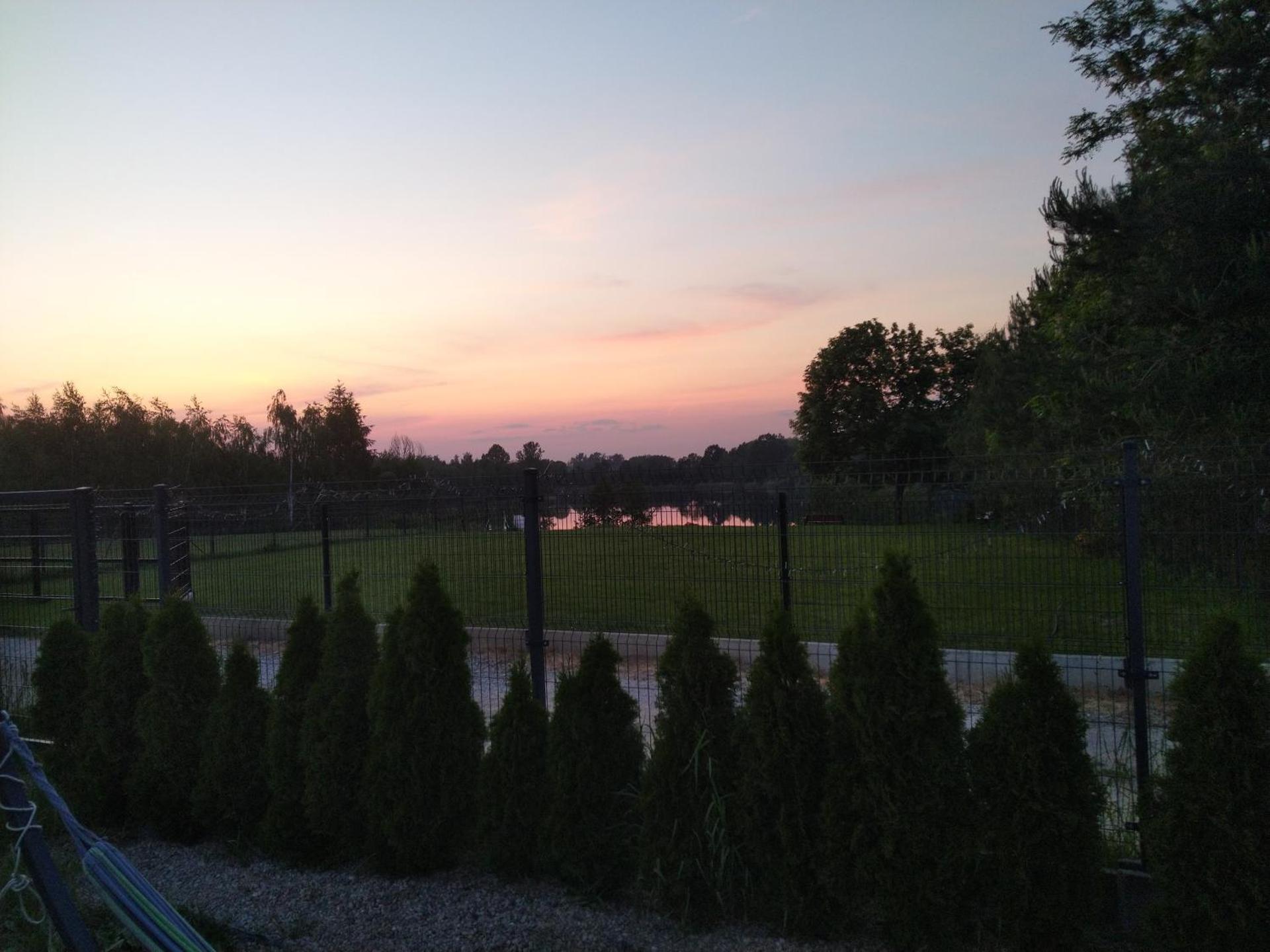 zakątek pod świerkami