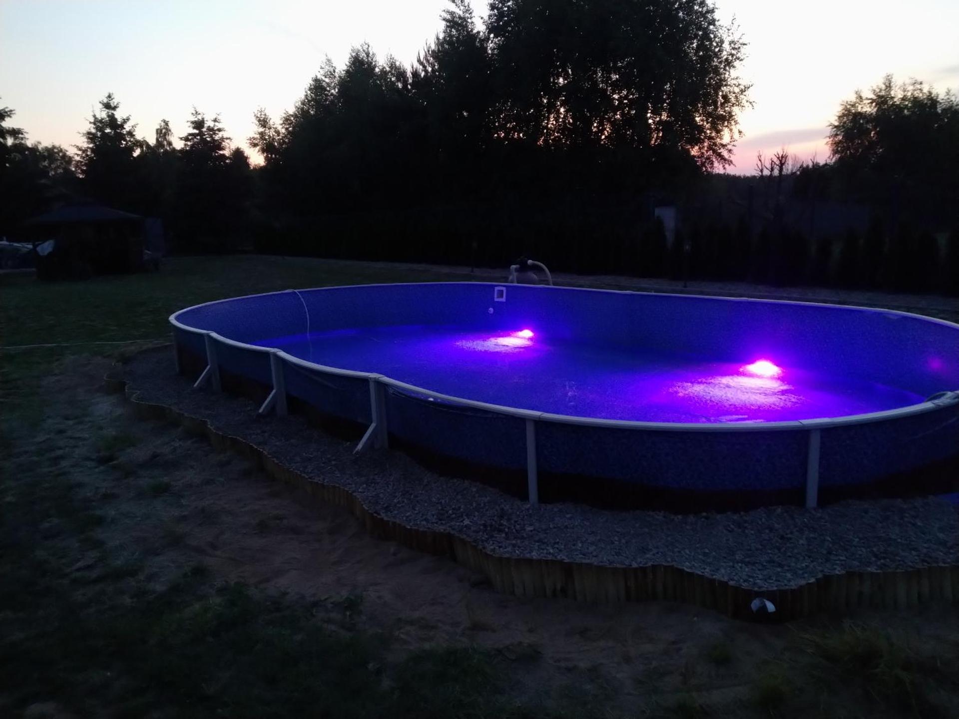 zakątek pod świerkami