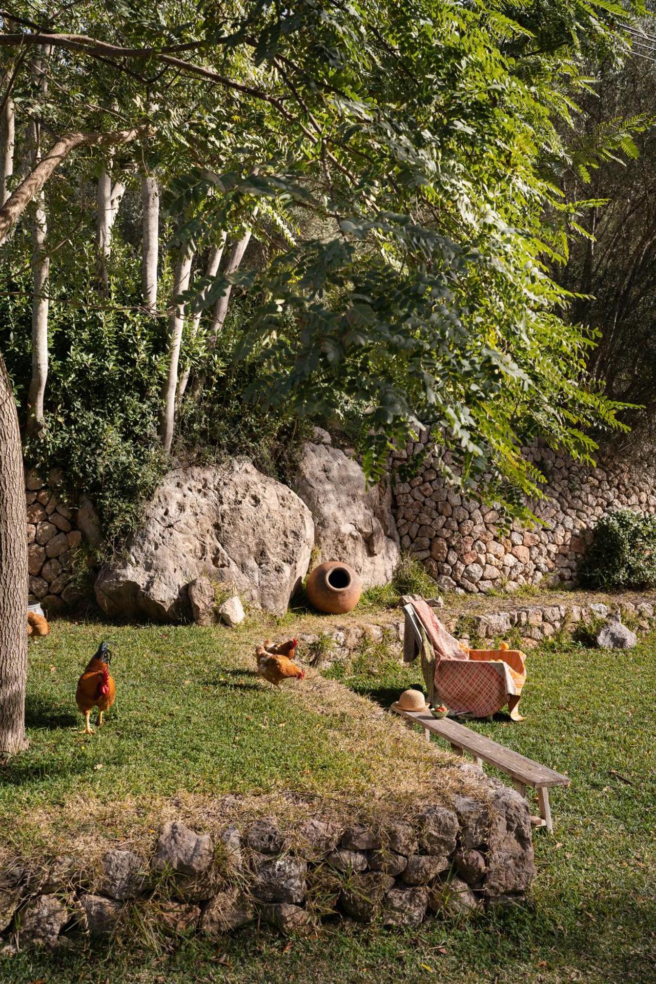 Agroturismo Son Viscos