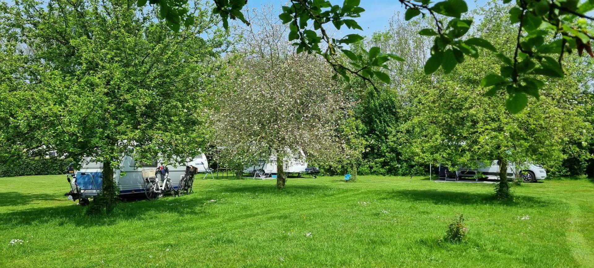 Chalet Hof van Autriche