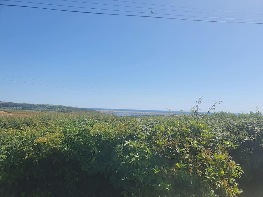 Seaview Self Catering-Fleetview