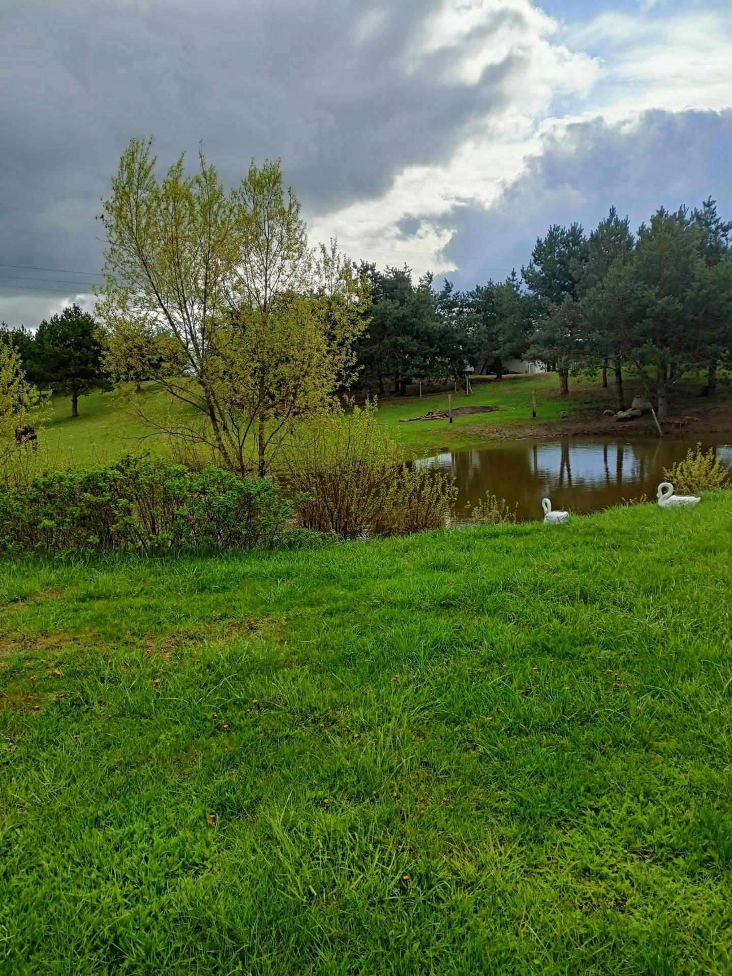 Pokoje gościnne Trąbki Małe k.Gdańska