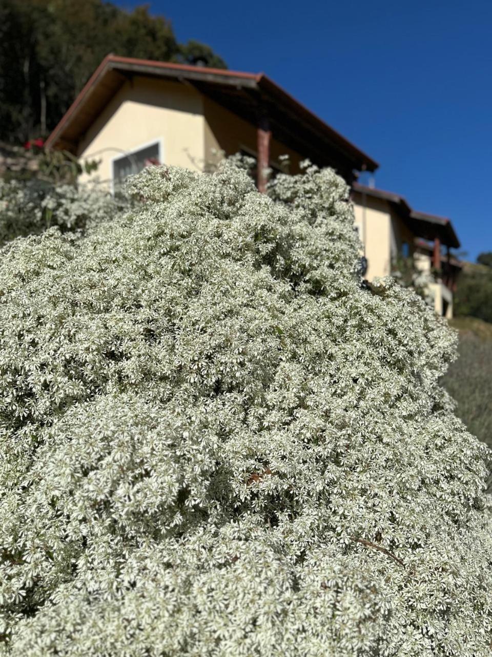 Pousada Pedra Grande