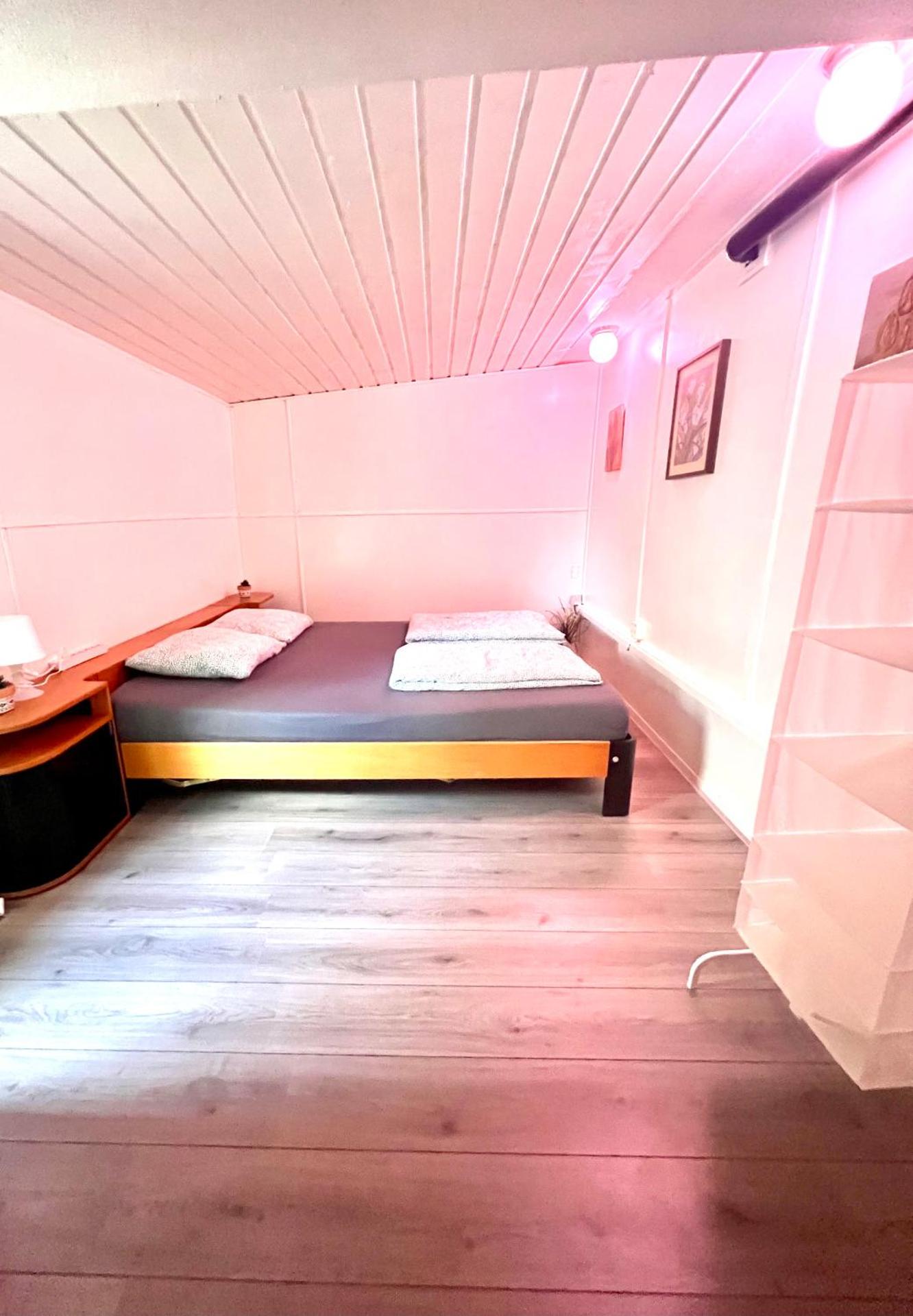 Buddha style family house & jacuzzi & sauna near Amsterdam