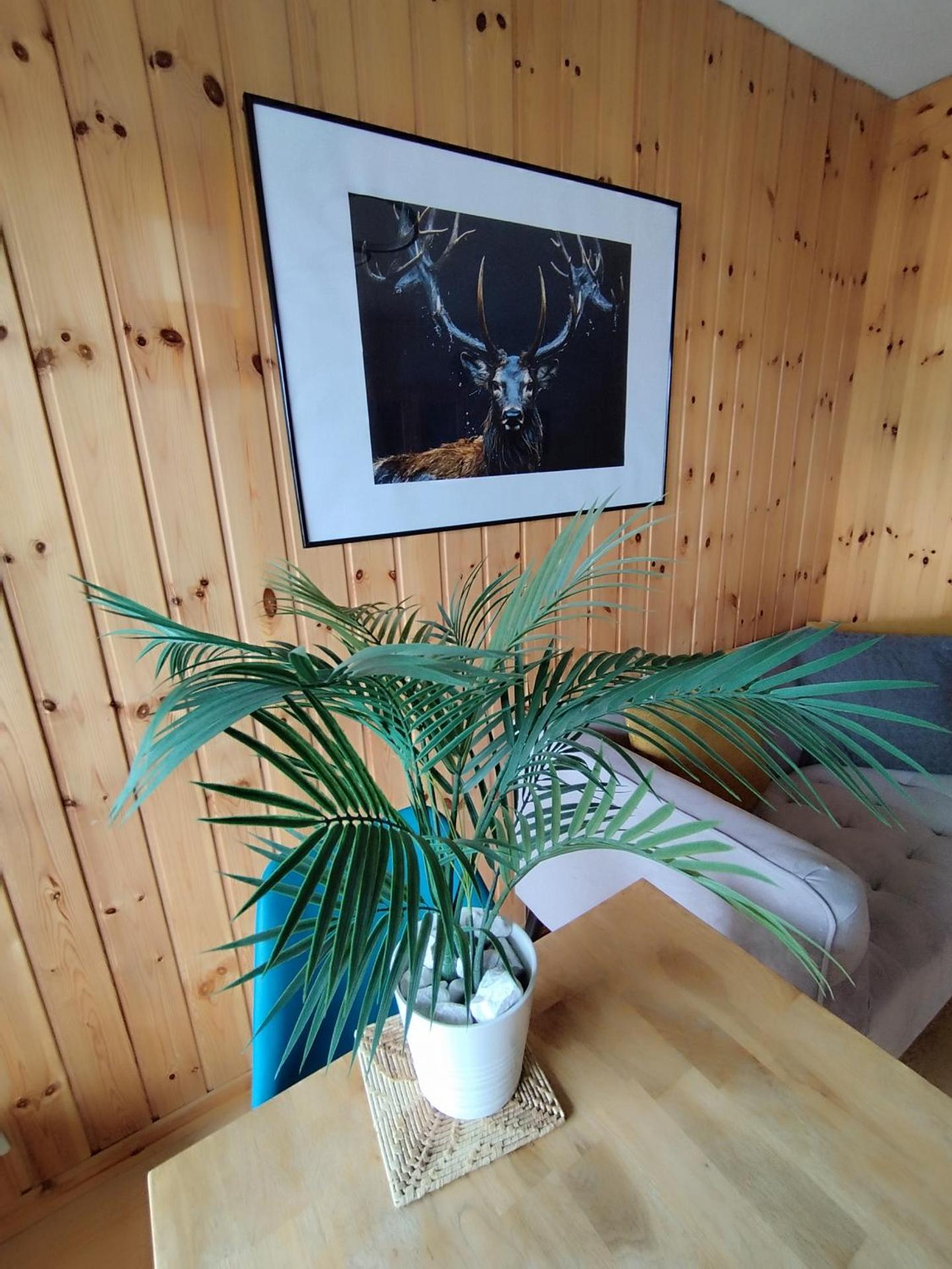 Superbe appartement au centre de la station