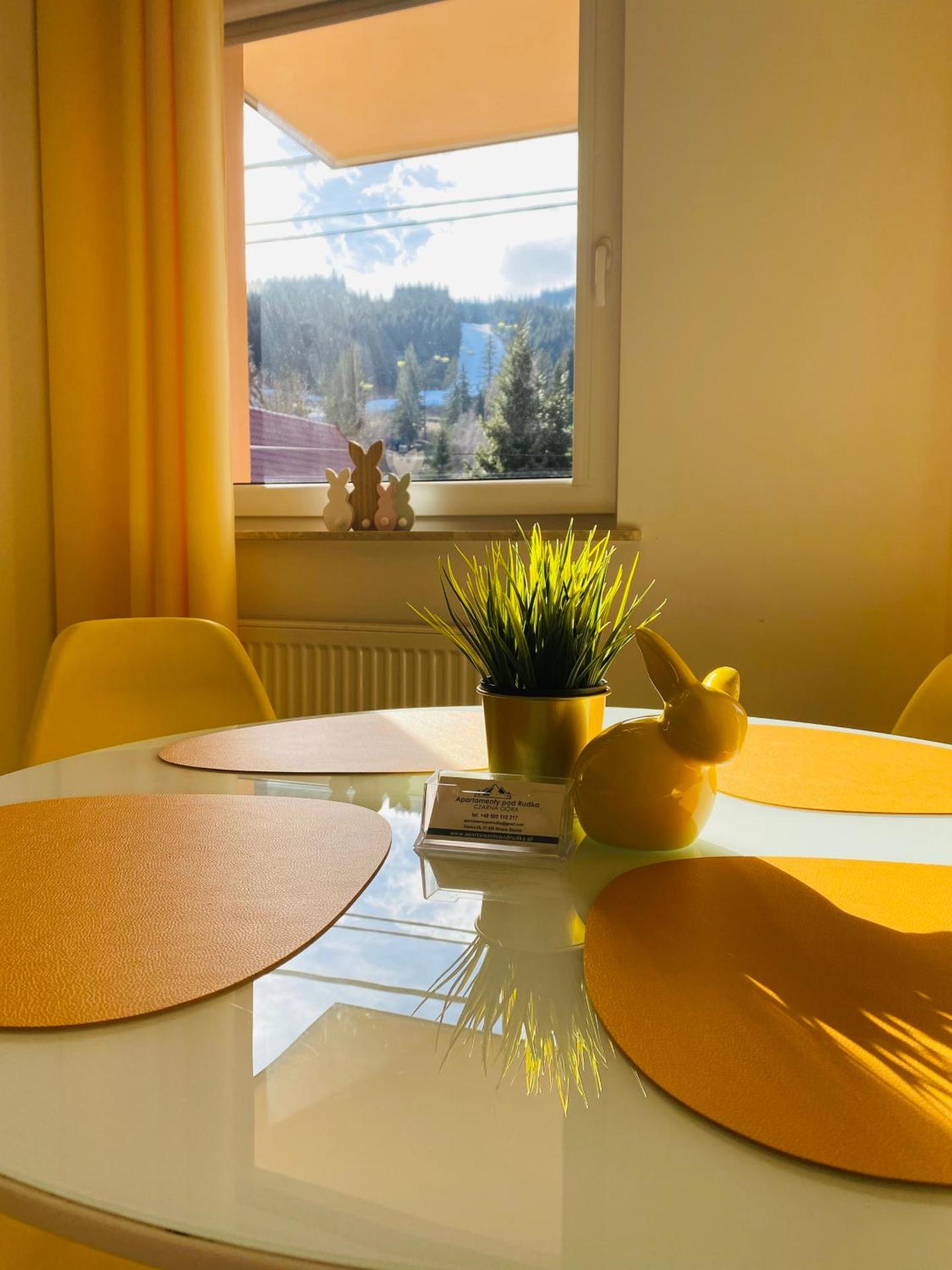 Apartamenty Pod Rudką Czarna Góra