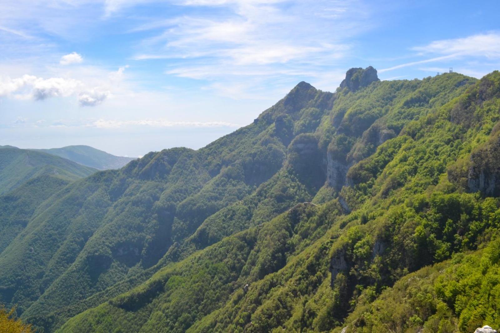 Casa Anna apartments