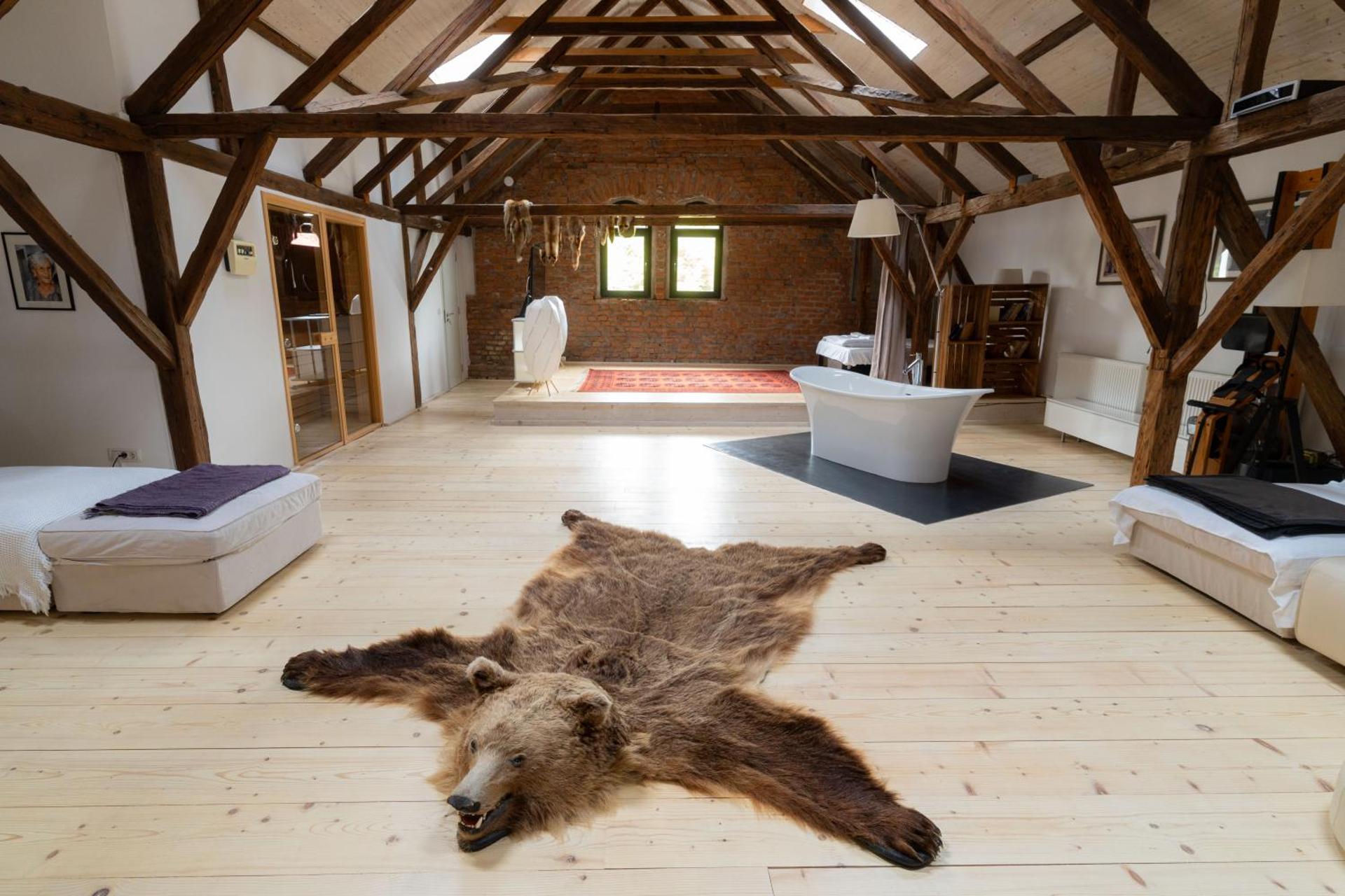 Photo of the whole room