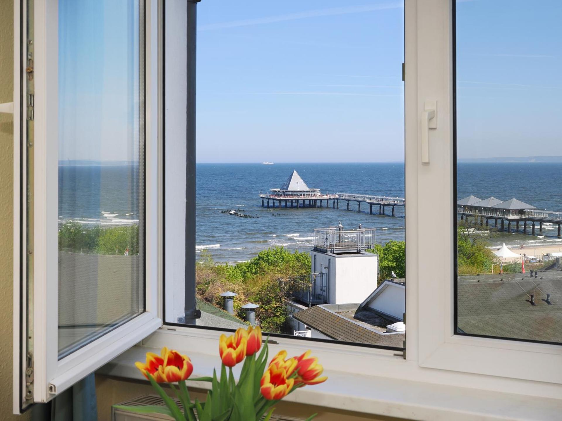 View (from property/room)