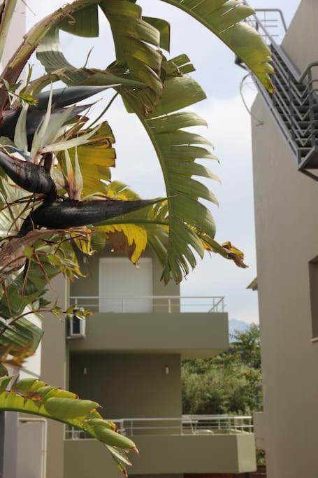 Άνετο Πολυτελές Διαμέρισμα