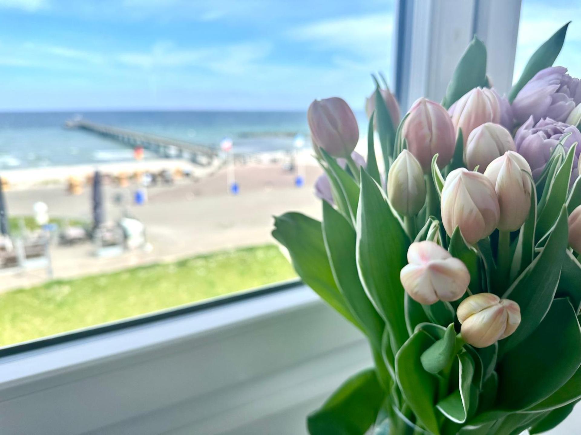 Traum Ostseemeerblick