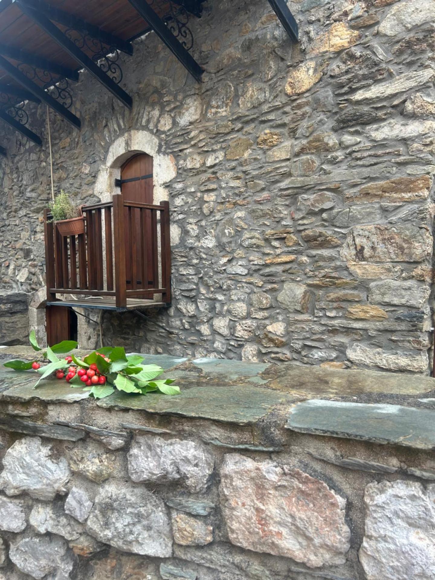 Ξενώνας ΚΑΜΕΛΙΑ