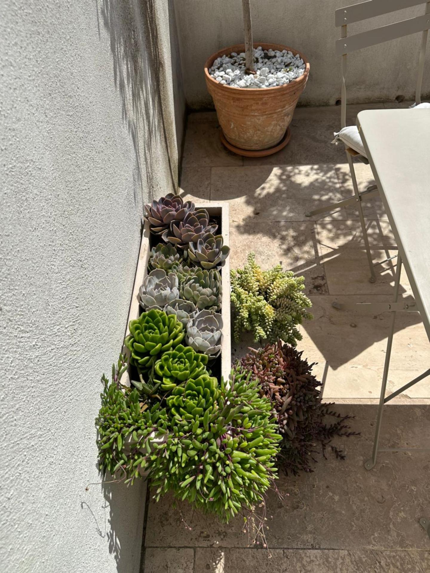 Appartements 3 étoiles terrasse ou patio intra-muros