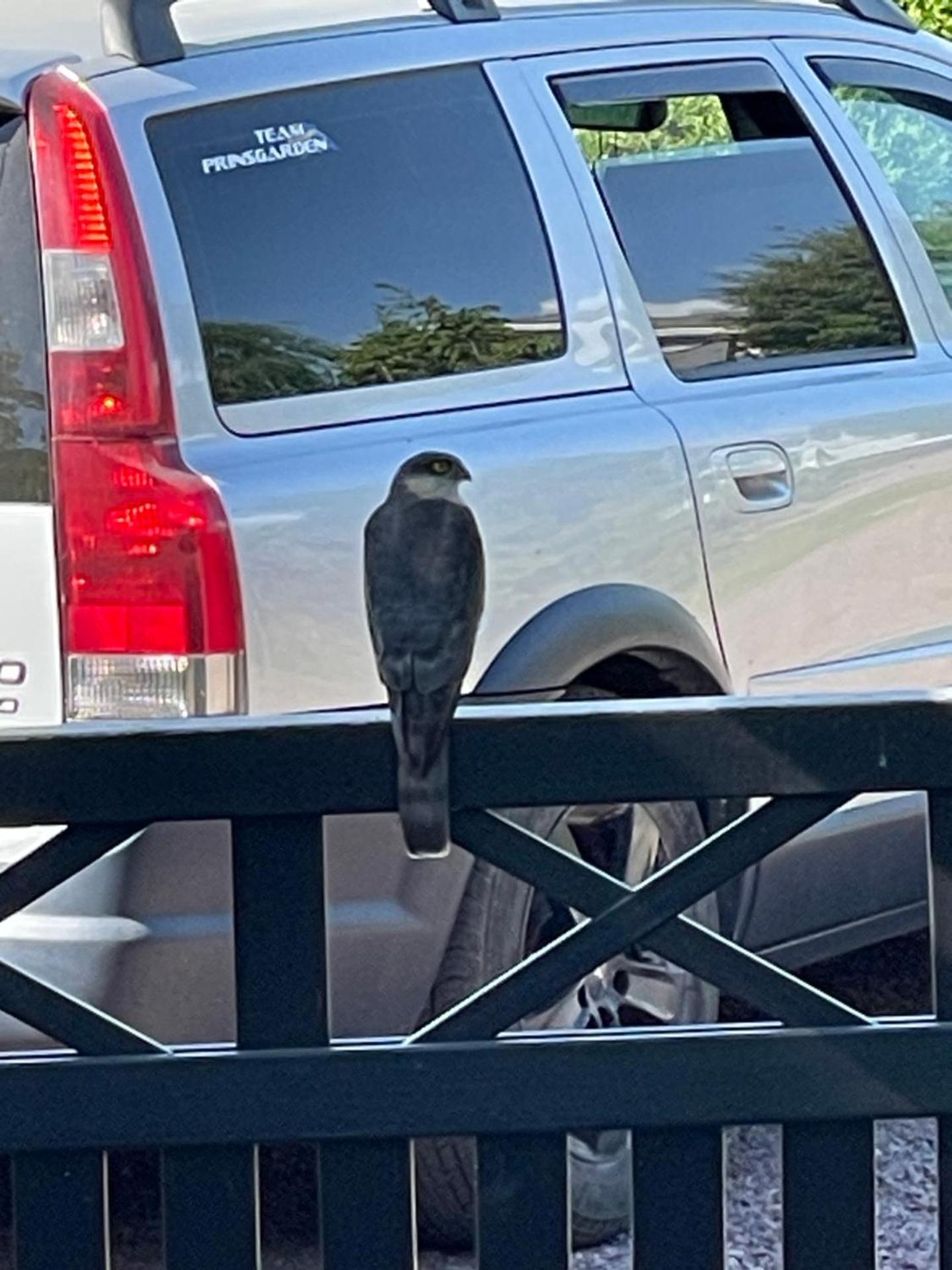 Prinsgården B&B rum stugor