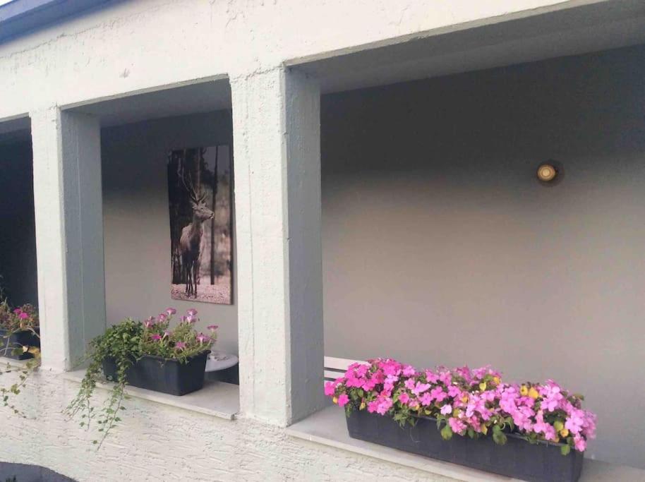 Etzauer Mühle im Taunus, Mensch-Zeit-Pferd