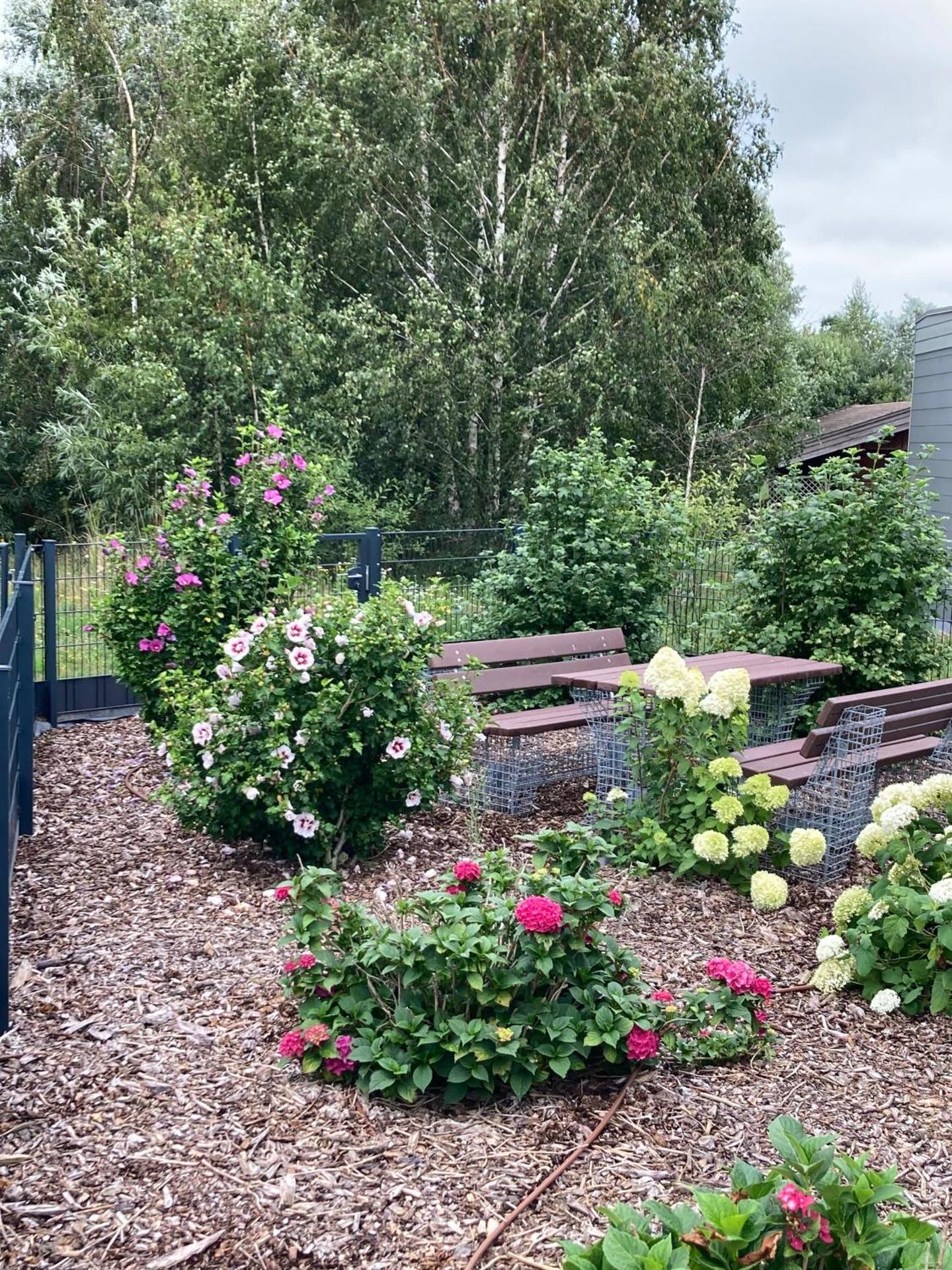 Seepark Cox ️️️️