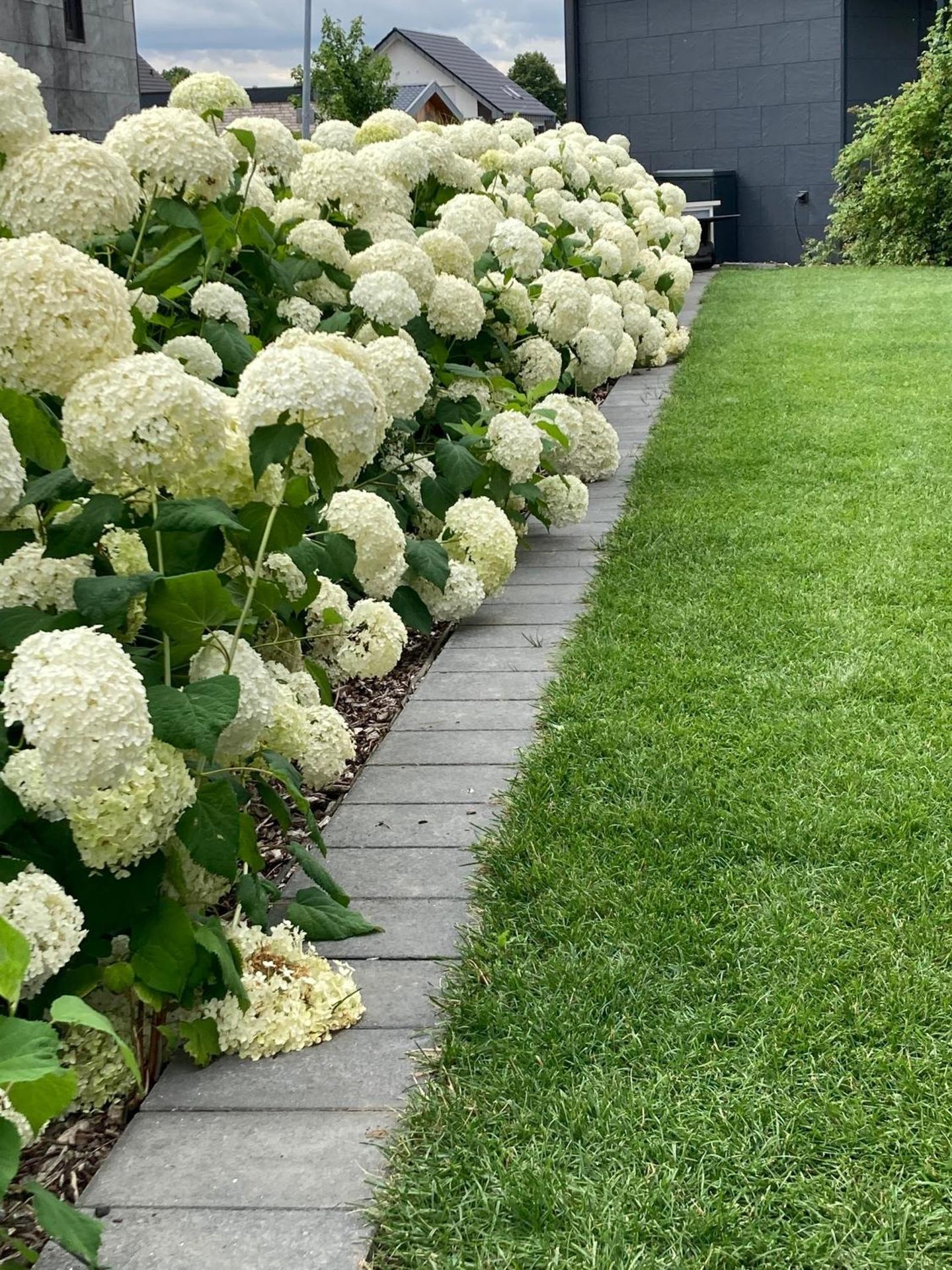 Seepark Cox ️️️️