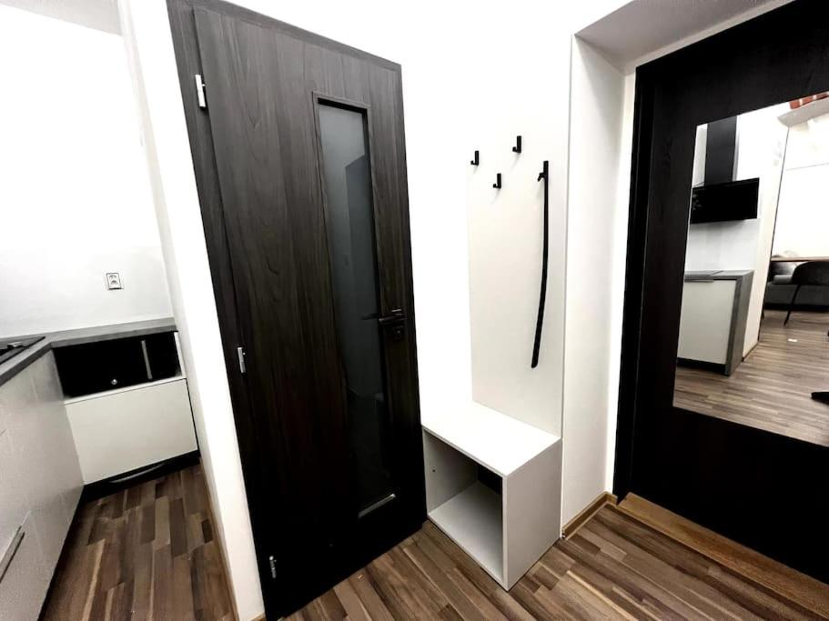 Palackého Lobby Apartment