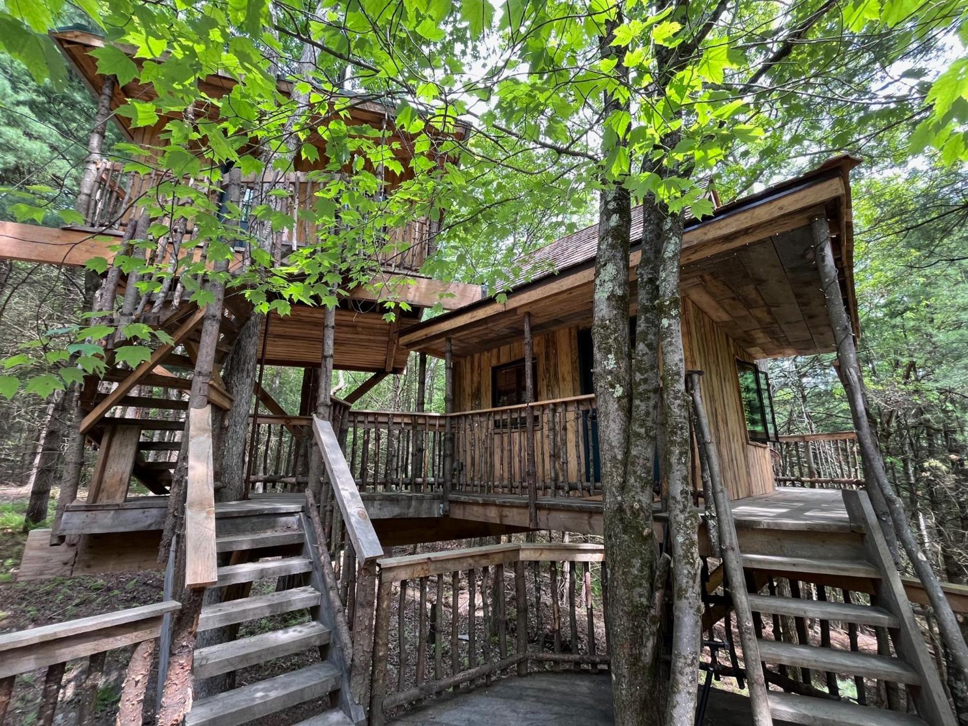 Little Birds Treehouse