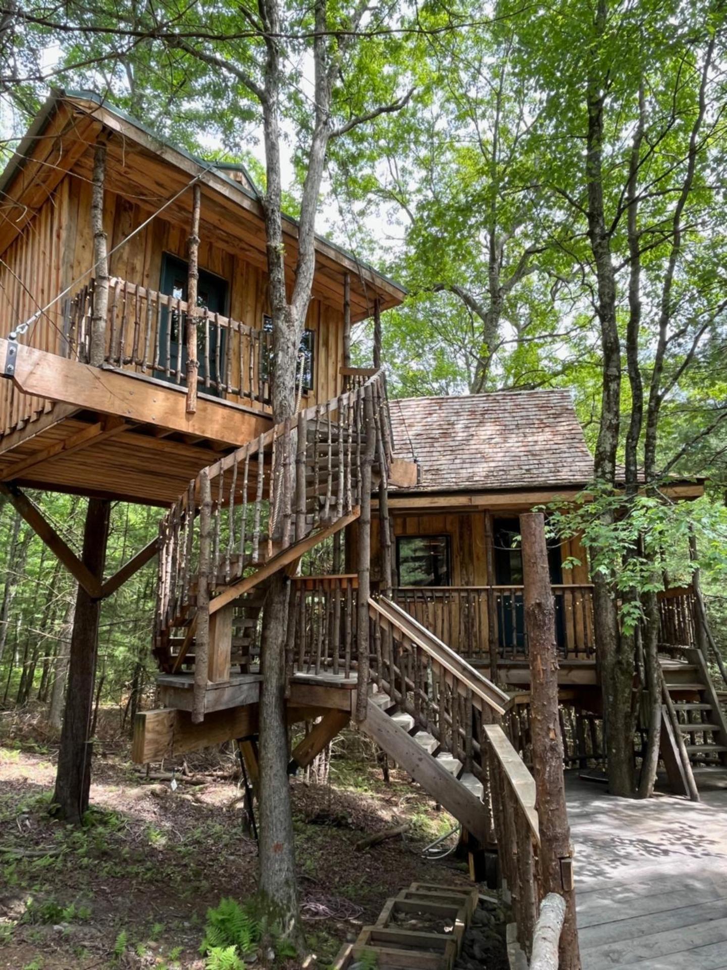 Little Birds Treehouse