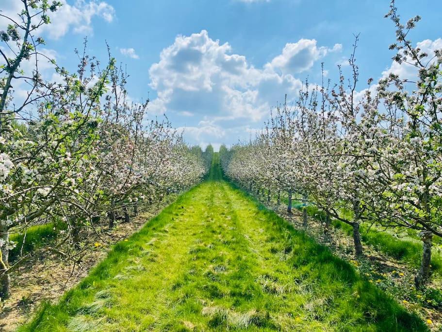 The Guest House near Hay on Wye