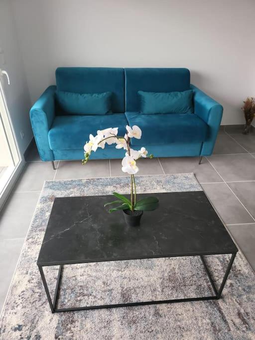 New villa 5mn from the beach-Pyrenees view