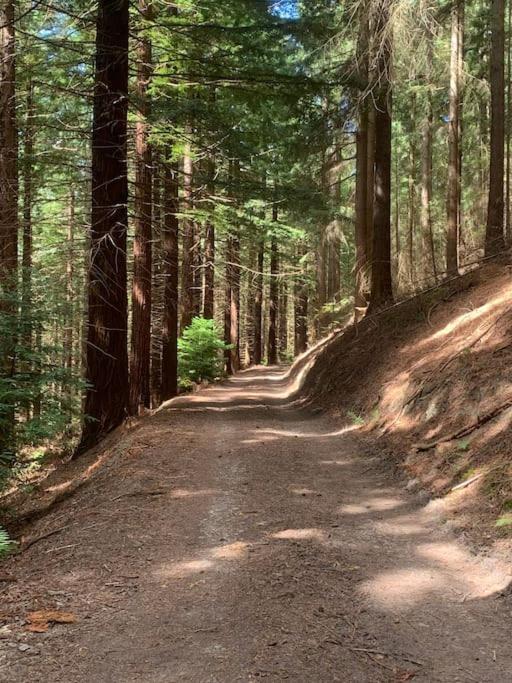 Tank Barn at Brook House, Nestled in the Welsh Hills, a delightful retreat