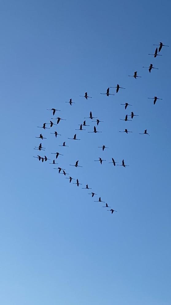 Casita Lopez Holiday House