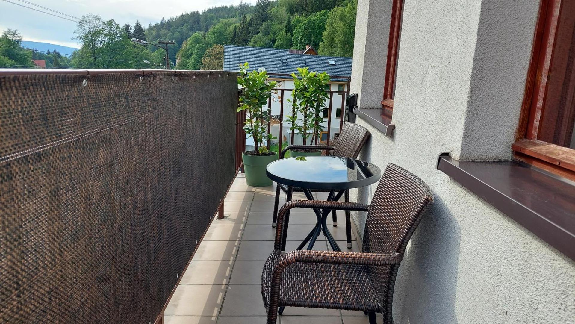 Apartament Międzygórski