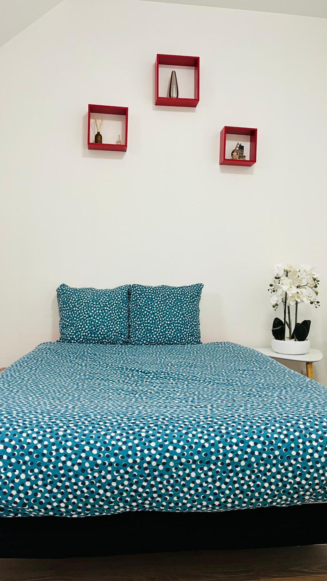 Le MonMon grand T2 hyper centre ville