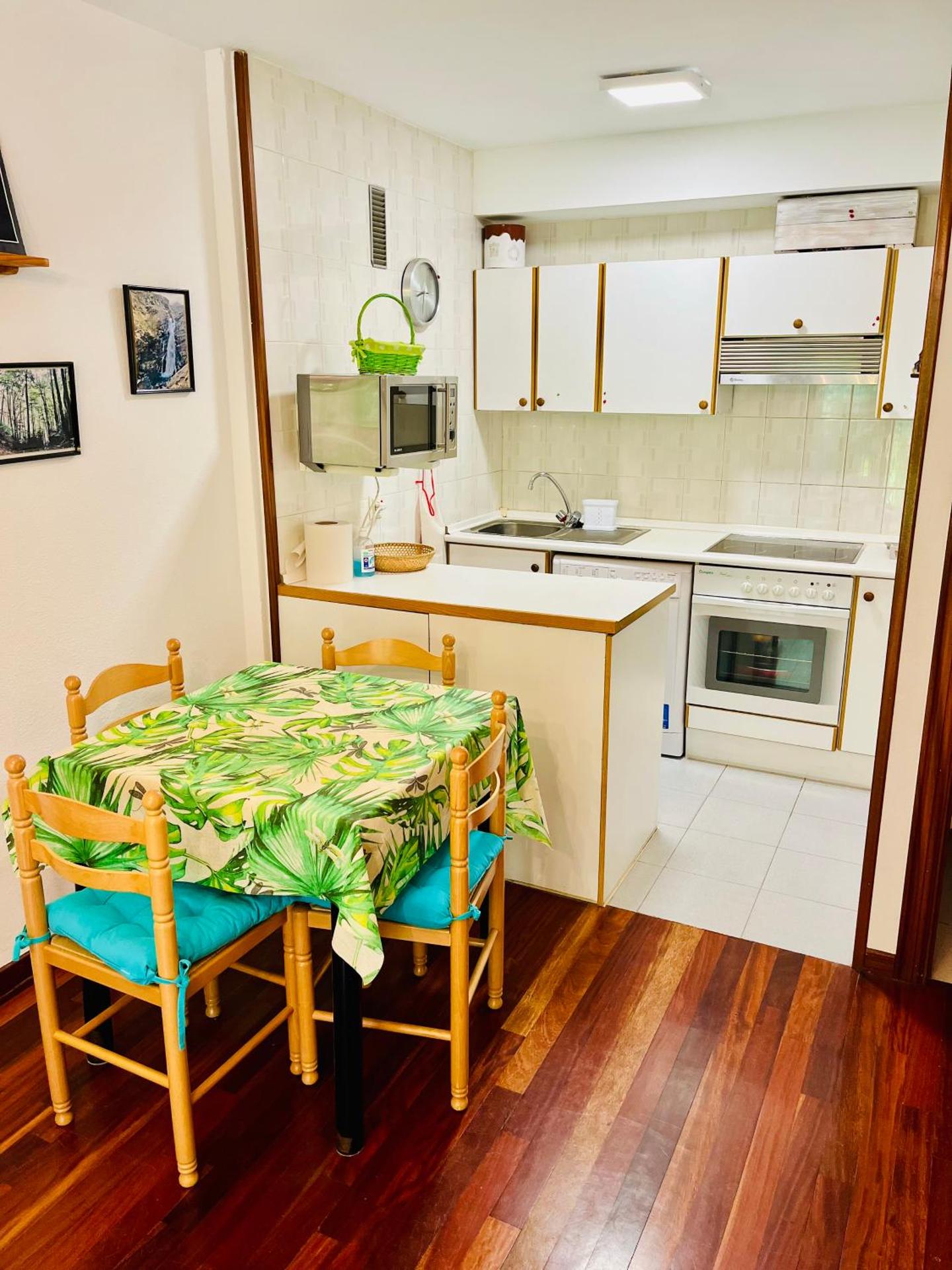 El refugio de la ardilla, apartamento Canfranc-estacion