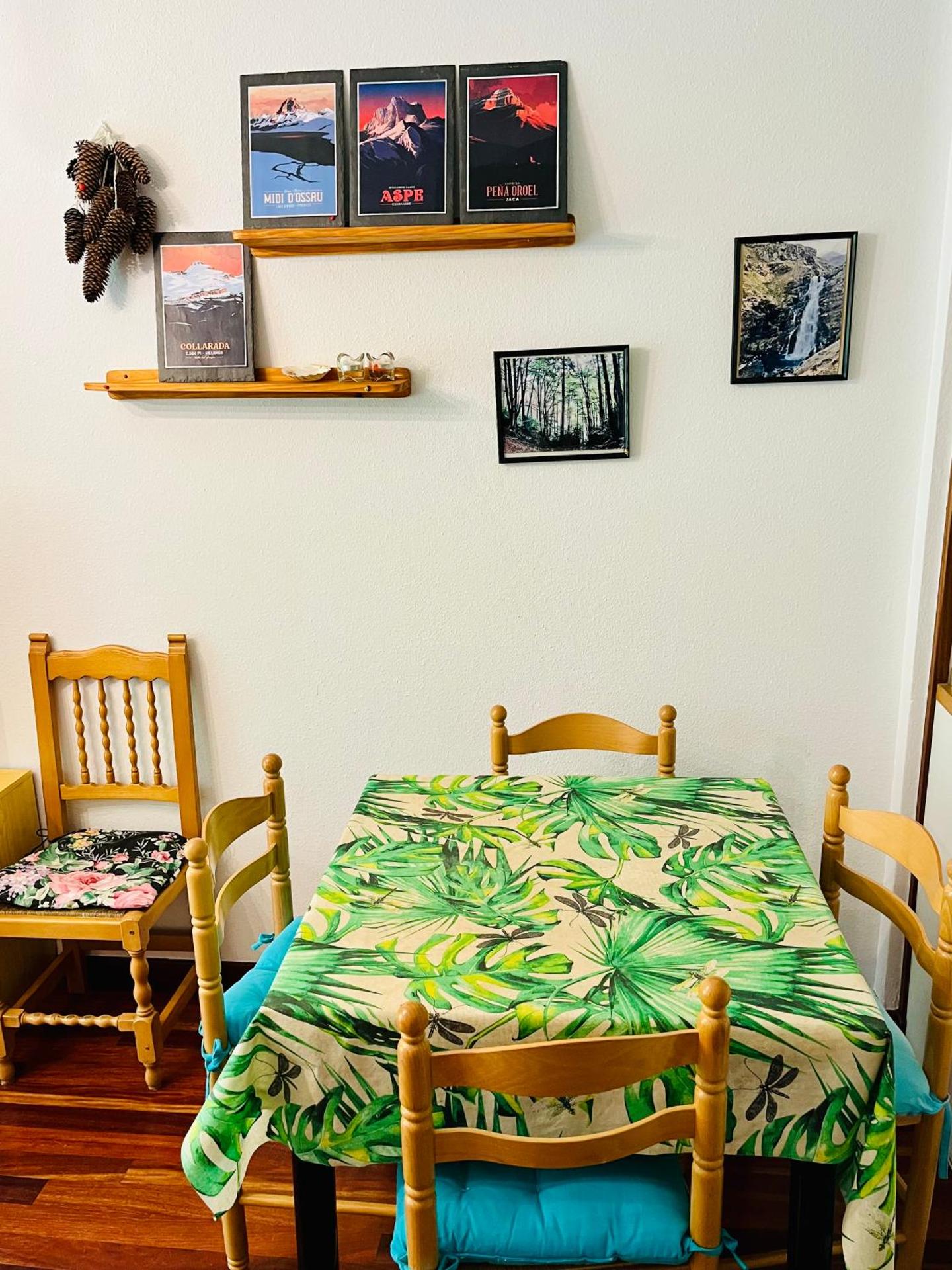 El refugio de la ardilla, apartamento Canfranc-estacion