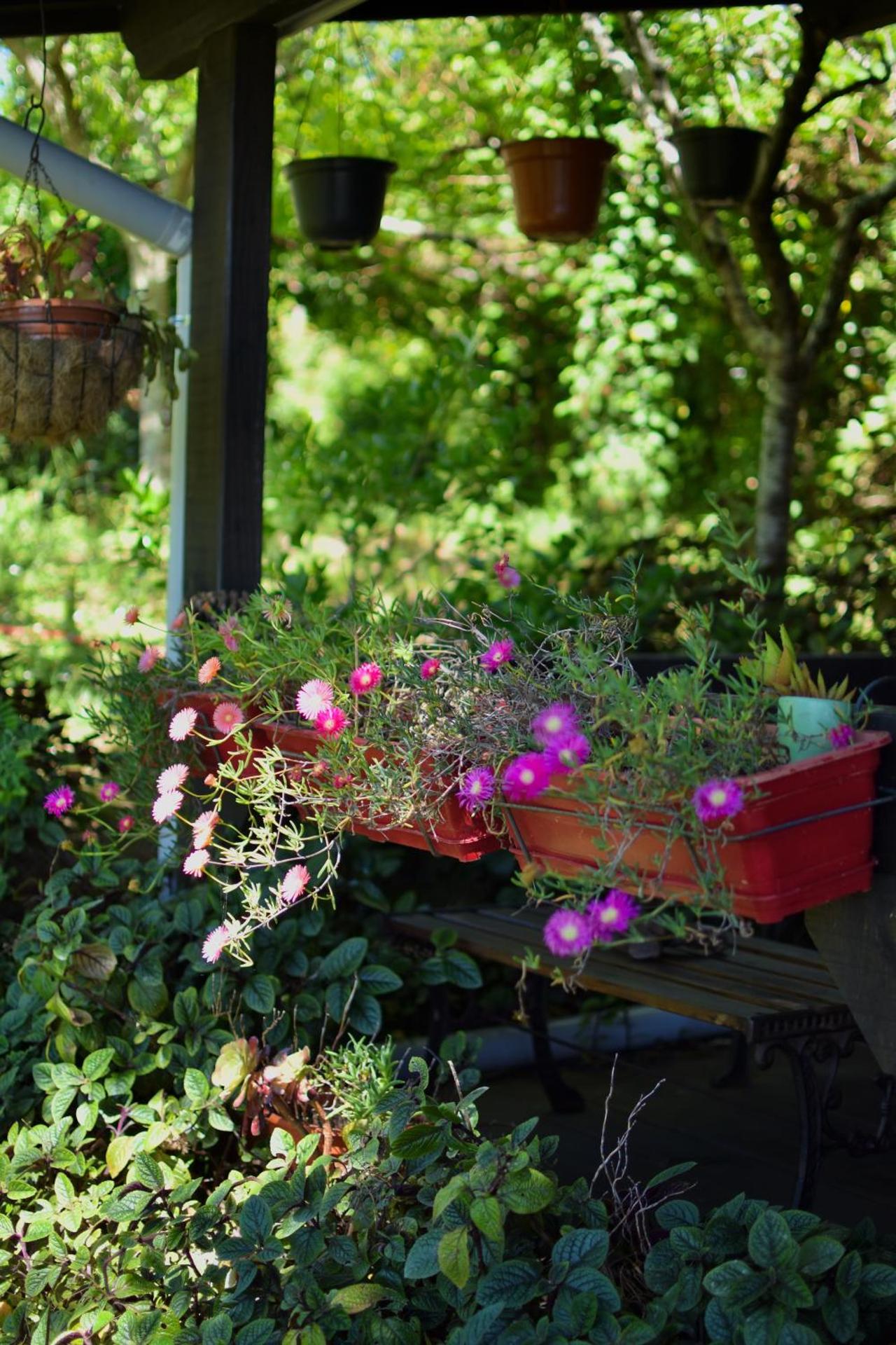 Inner courtyard view