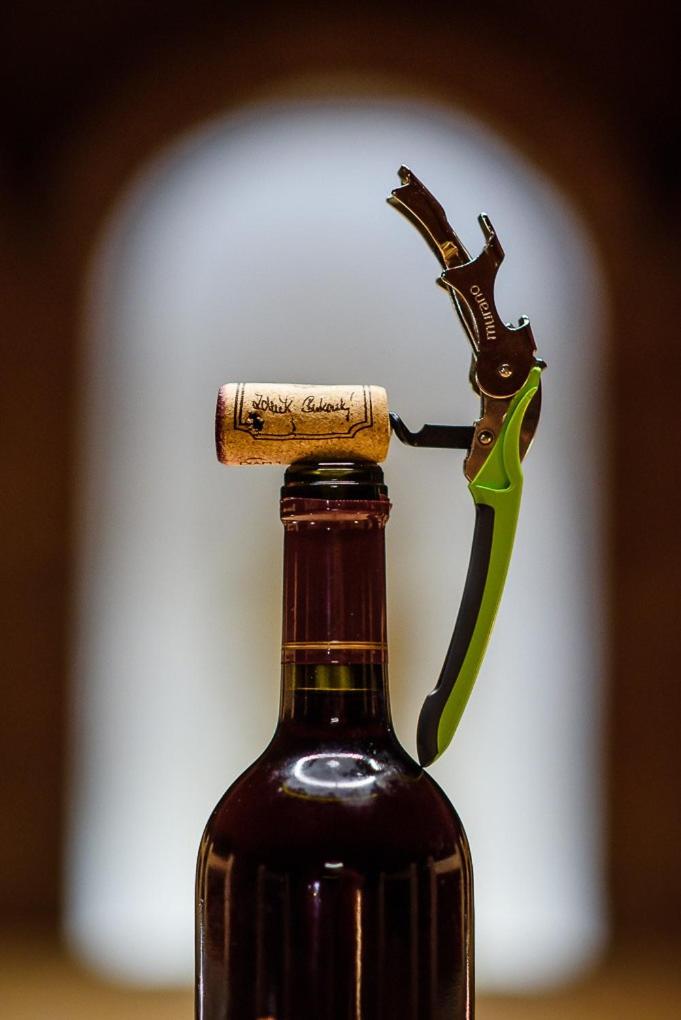 APARTMÁN PŘÍTLUKY - Zdeněk Bukovský