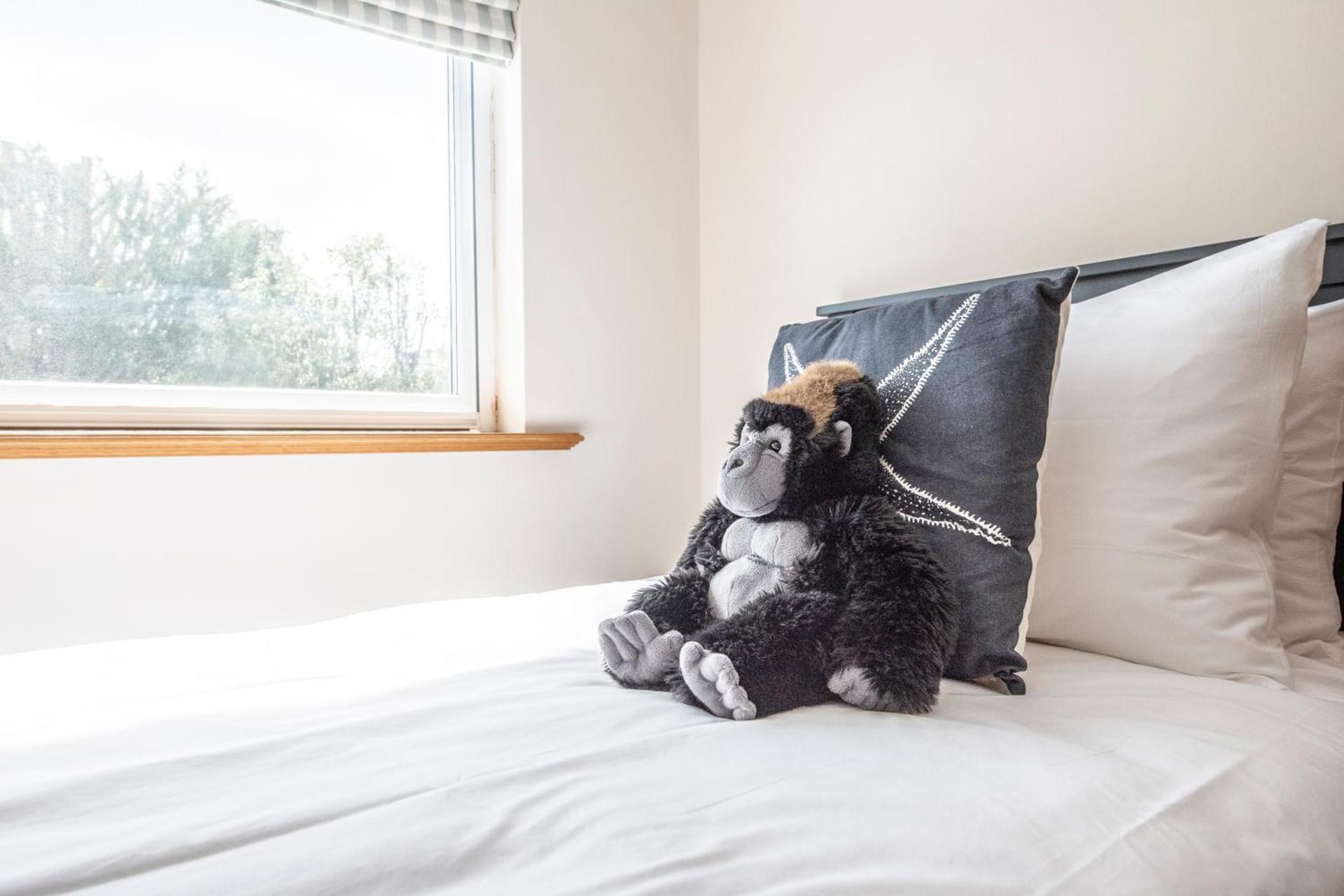 5 Toller Close, Orford