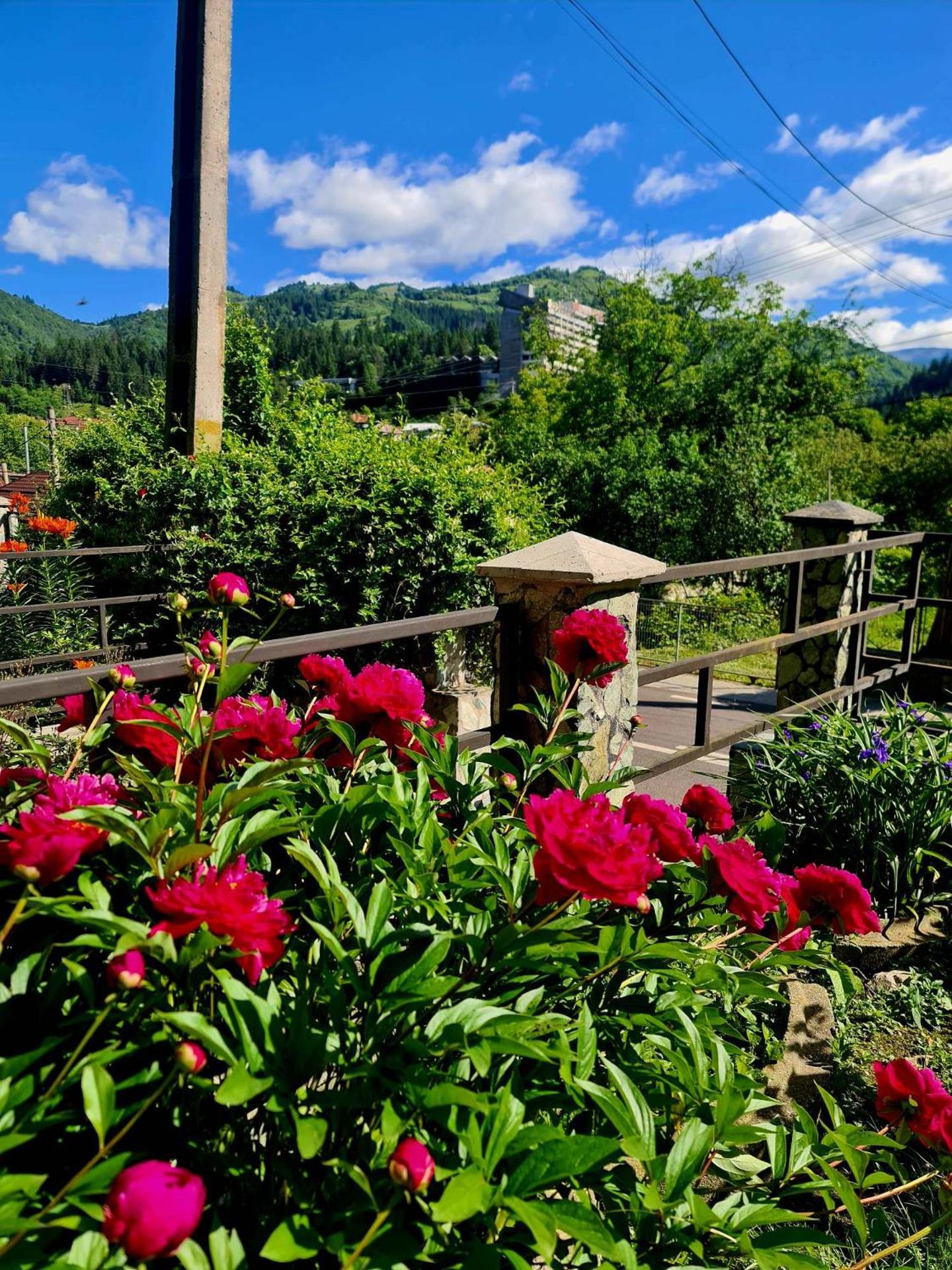 Vila Giulia Voineasa