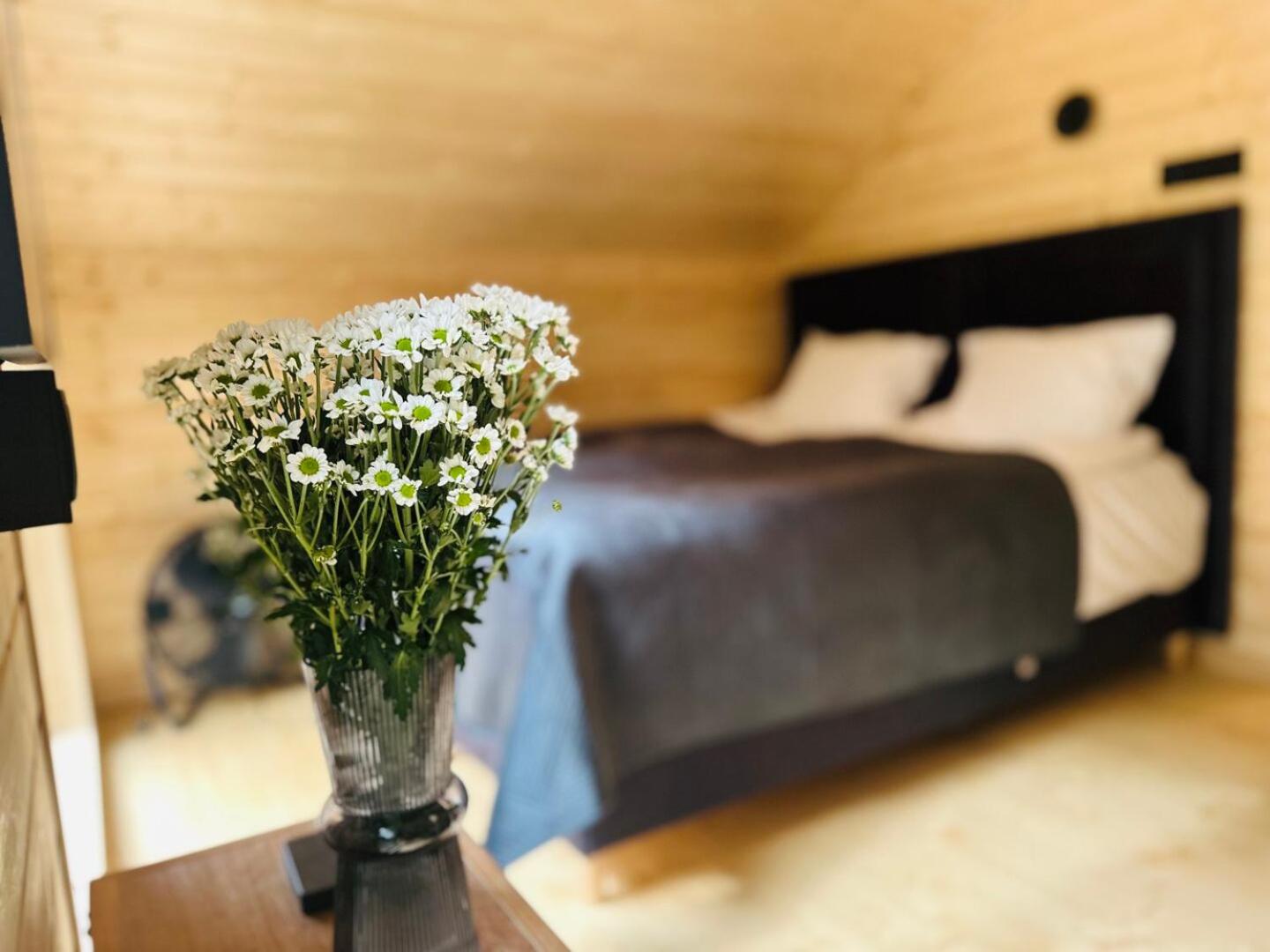 DOMKI Leśna Cisza jezioro Powidzkie dla 18 osób - 5D Apartments