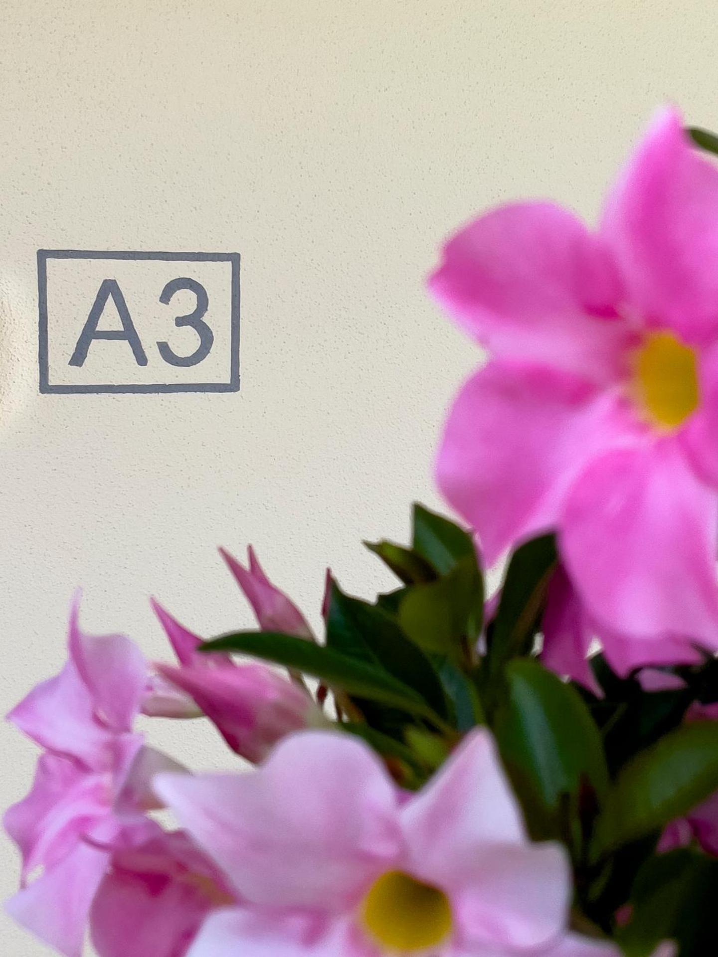 Le Casette di Orta Apartments